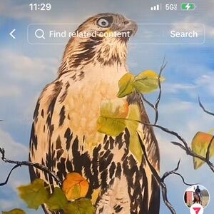 Majestic Hawk